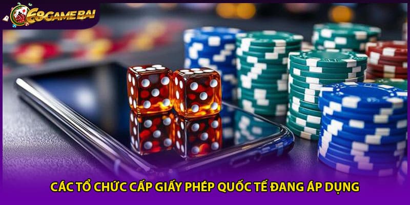 Các tổ chức cấp giấy phép quốc tế đang áp dụng